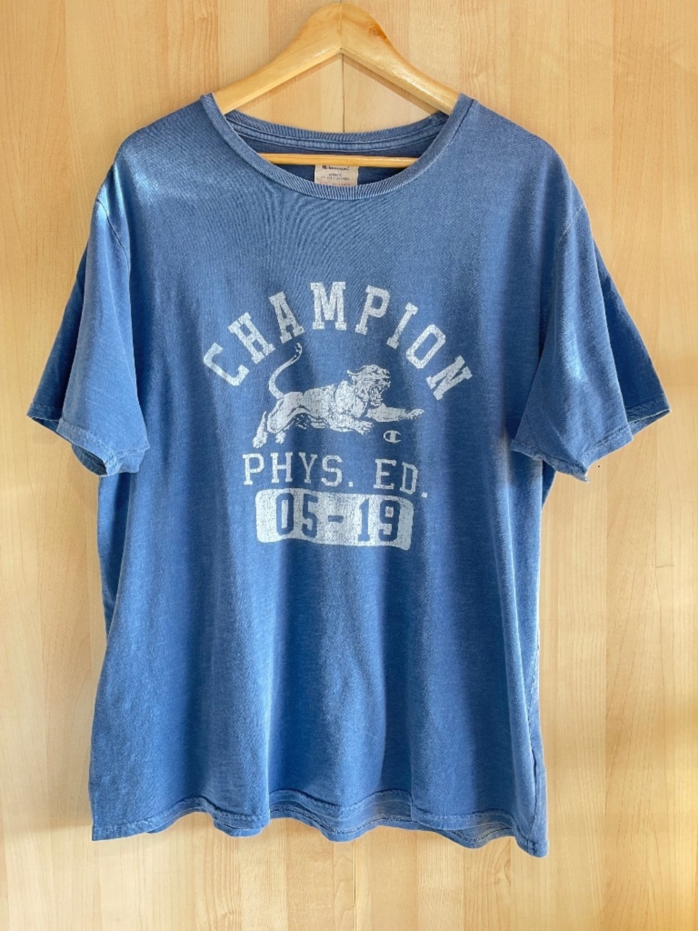 Champion Faded Blue Crewneck Tee with White Graphic